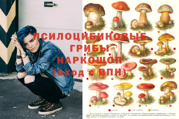 герыч Аркадак